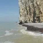 阿尔比恩皇家酒店 Mesnil-Val-Plage