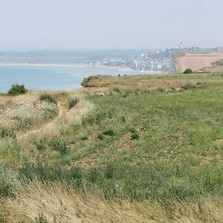Royal Albion Hotel Mesnil-Val-Plage