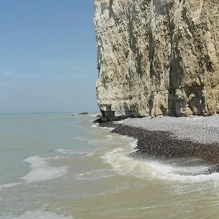 阿尔比恩皇家酒店 Mesnil-Val-Plage