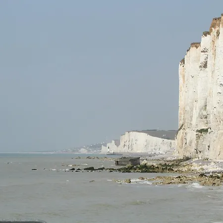 酒店 阿尔比恩皇家酒店 Mesnil-Val-Plage