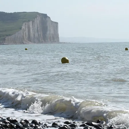 阿尔比恩皇家酒店