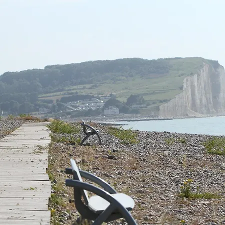 酒店 阿尔比恩皇家酒店 Mesnil-Val-Plage