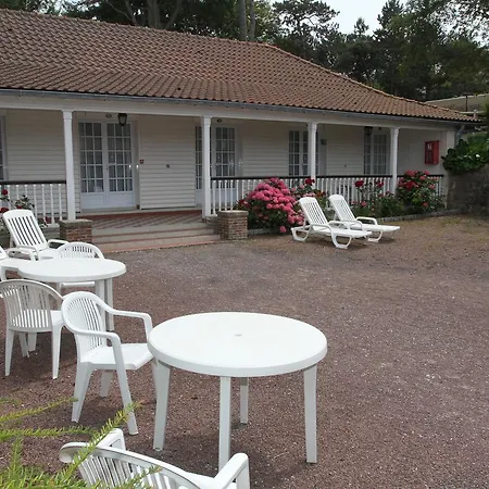 Royal Albion Otel