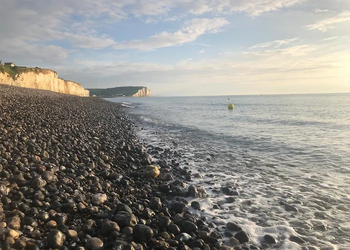 阿尔比恩皇家酒店 Mesnil-Val-Plage