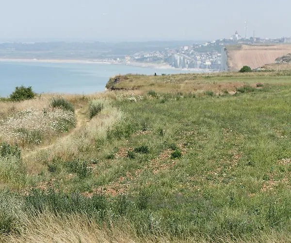 阿尔比恩皇家酒店 酒店 Mesnil-Val-Plage