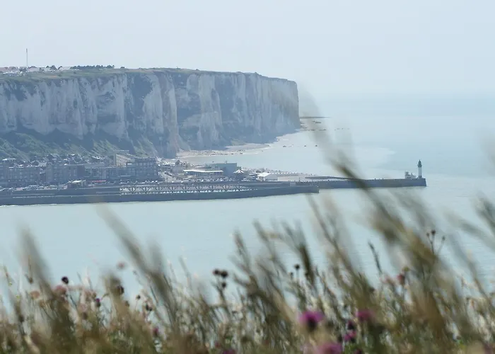 阿尔比恩皇家酒店 Mesnil-Val-Plage