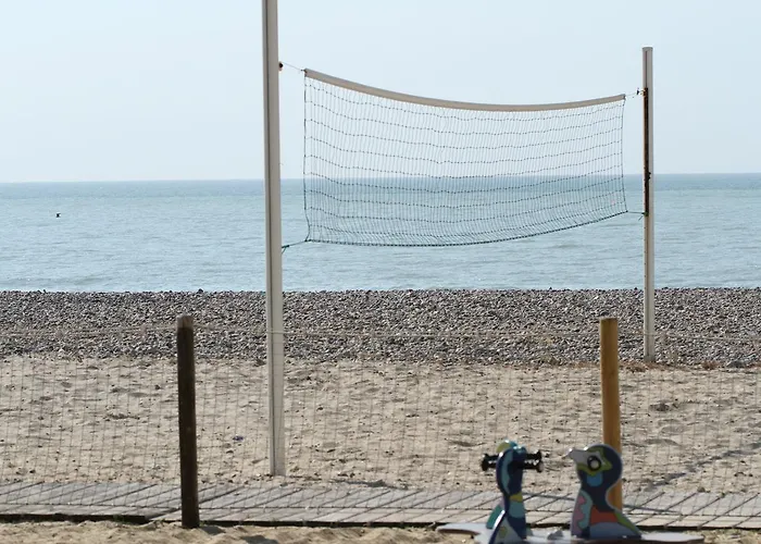 酒店 阿尔比恩皇家酒店