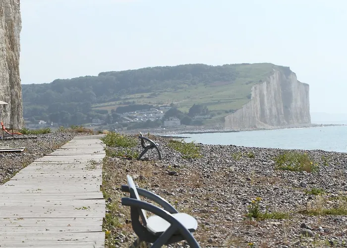 酒店 阿尔比恩皇家酒店 Mesnil-Val-Plage