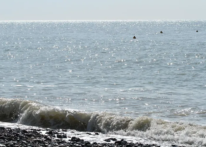 酒店 阿尔比恩皇家酒店